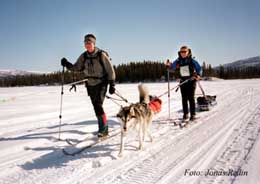 Dag 29 sndag 25/3, Trnaby.