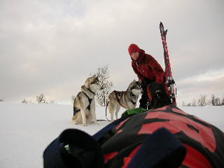 Energipfyllningspaus