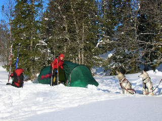 Morgonsol som vrmer nr allt ska packas ihop 