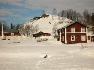 Sntckt potatisbacke i Ammarns