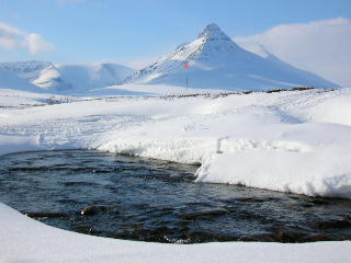 Sttliga Pltsan, en riktig prla lngst i norr!