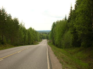 Grnt och fint lngs vgarna!