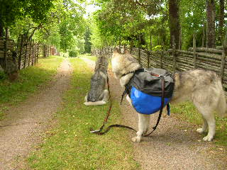 Fina smvgar och vackra grdsgrdar