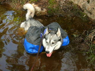 Ronja och klvjevskor tar ett bad