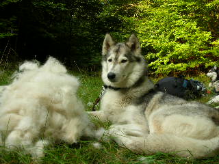 Slka tycker vinterplsen r fr varm!