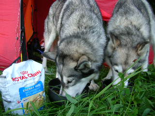 Ronja och Slka ter middag