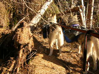 Lite svrframkomligt!