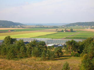 Utsikt vsterut frn Fjrs Brcka