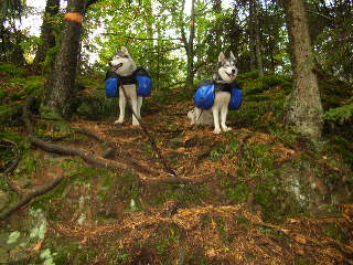Ronja och Slka p vandring lngs Bohusleden