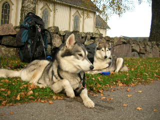 Vilopaus vid Undrumsdal