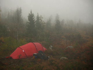 Dimmiga och blta dagar