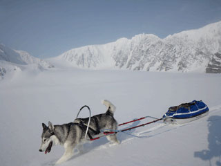 Ronja p Tryggvebreen