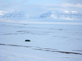Utsikt ver Sassendalen