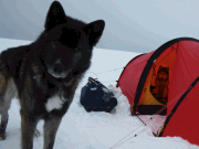 Bris, teamets nya medlem