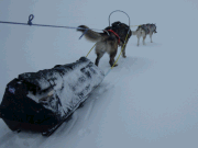 Ronja och Bris jobbar p