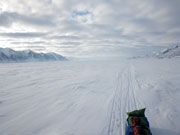 Vit och skidvnlig is p Wijdefjorden