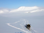 Hrt slit uppfr med all nysn