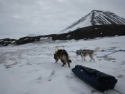 Bland Elfenbeinbreens mornmassor