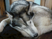 Ronja vntar p bttre vder