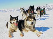 Spannet uppe p Paulabreen