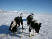 Grnlndarna Halny och Riddu